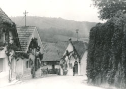 eika image